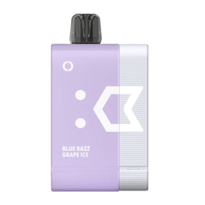 Elfbar Pod Framboesa Azul com Uva 9000 Puffs