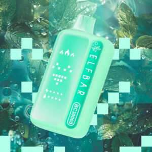 Elfbar Pod Double Mint 30000 Puffs